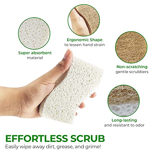 AIRNEX Natural Kitchen Sponge - Biodegradable Compostable Cellulose and Coconut Scrubber Sponge - Pack of 12 Eco Friendly Sponges for Dishes
