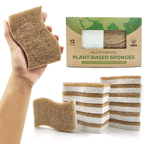 AIRNEX Natural Kitchen Sponge - Biodegradable Compostable Cellulose and Coconut Scrubber Sponge - Pack of 12 Eco Friendly Sponges for Dishes